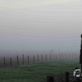 IMG_1295669