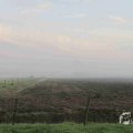 IMG_1295679