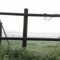 IMG_1295683