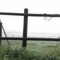 IMG_1295684