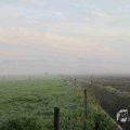 IMG_1295685