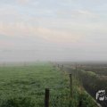 IMG_1295686