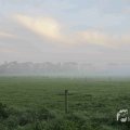 IMG_1295687