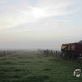 IMG_1295690