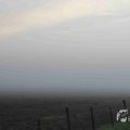 IMG_1295691
