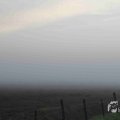 IMG_1295692