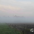 IMG_1295693