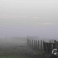 IMG_1295694