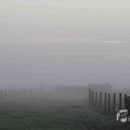 IMG_1295695