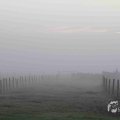 IMG_1295696