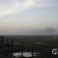 IMG_1295697