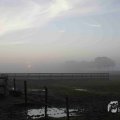 IMG_1295698