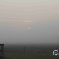 IMG_1295699