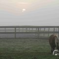 IMG_1295705