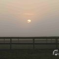 IMG_1295706