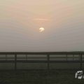 IMG_1295707