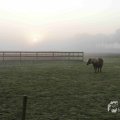 IMG_1295714