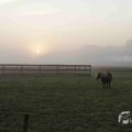 IMG_1295716