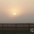 IMG_1295717
