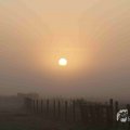 IMG_1295722