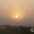IMG_1295723