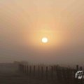 IMG_1295724