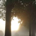 IMG_1295734