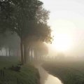 IMG_1295751