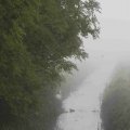 IMG_1295762