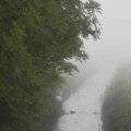 IMG_1295763