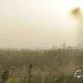 IMG_1295780
