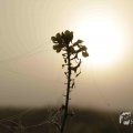 IMG_1295783