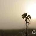 IMG_1295788