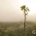 IMG_1295789