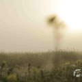 IMG_1295790