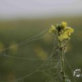 IMG_1295798