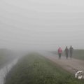 IMG_1295834