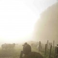 IMG_1295872