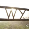 IMG_1295883