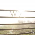 IMG_1295885