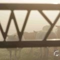 IMG_1295901