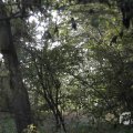 IMG_1296027