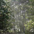 IMG_1296033