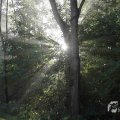 IMG_1296065