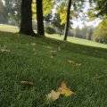 IMG_1296103