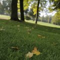 IMG_1296104