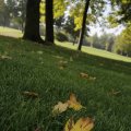 IMG_1296105