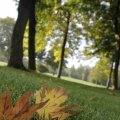 IMG_1296106