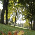 IMG_1296109