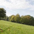 IMG_1296115